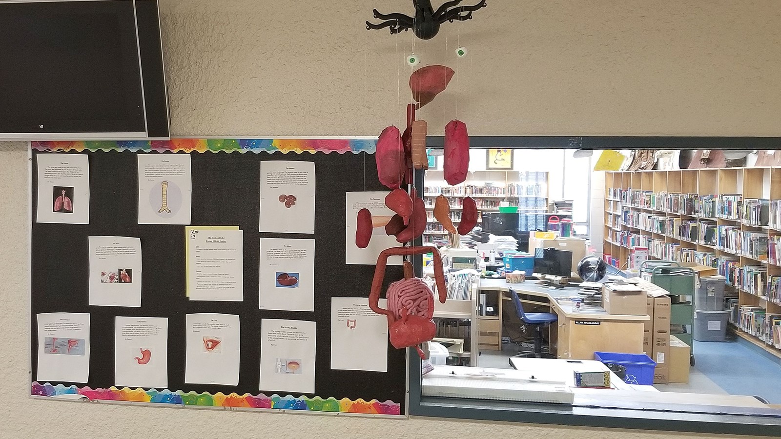 David Livingstone - Organs - 1 (Supplied)